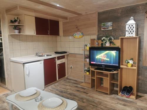 Kuchyň nebo kuchyňský kout v ubytování URBAN life 2