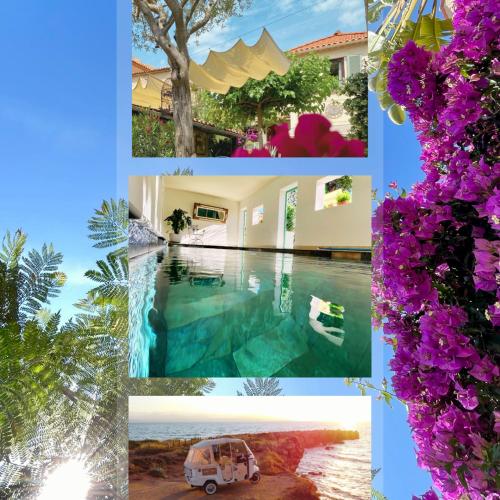 a collage of photos of a pool and flowers at La Jabotte in Antibes