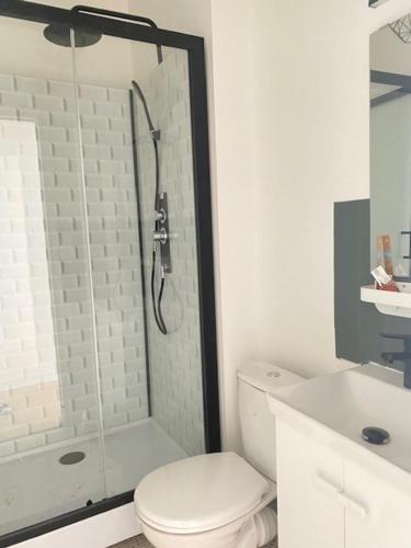 une salle de bain blanche avec douche et toilettes dans l'établissement l'immeuble du petit pont, à Lamballe