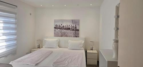 a white bedroom with a bed and a painting on the wall at Aphrodite Apartment in Lastva