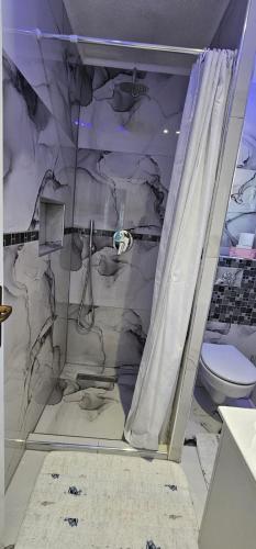 a bathroom with a shower and a toilet at Aphrodite Apartment in Lastva