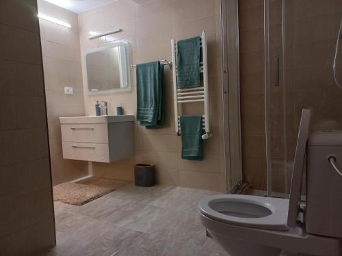 Un baño con inodoro, lavabo y ducha. en Loja Montana, en Marginea