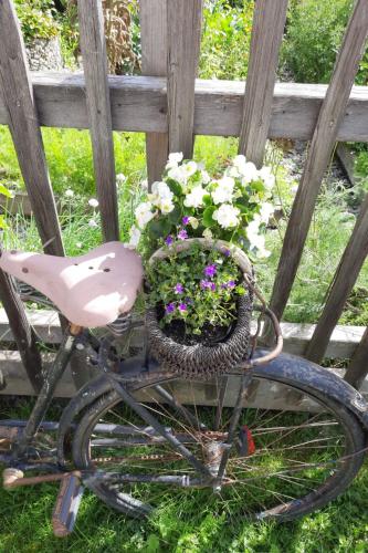 a bike with a basket with flowers in it at Apartment Althaus by Interhome in Neukirchen am Großvenediger