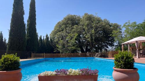 a swimming pool with two potted plants and a gazebo at Finca Rural La Calderera in Valdepeñas de Jaén