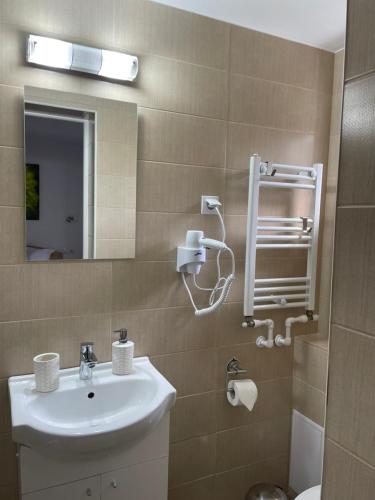 a bathroom with a sink and a mirror at Casa Milla in Sovata