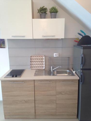 a kitchen with a sink and a refrigerator at Apartment Milena in Drasnice