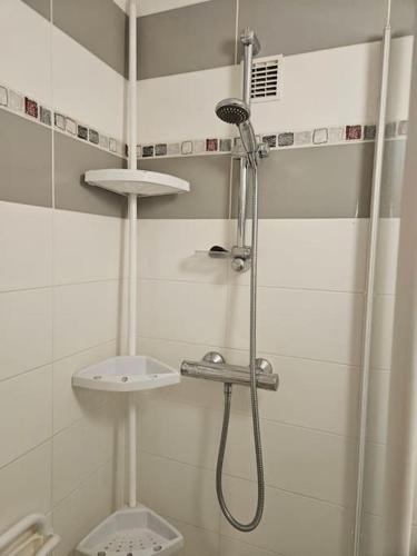 une salle de bain avec une douche avec des toilettes et un lavabo dans l'établissement Grand T4 avec parking, à Montbéliard
