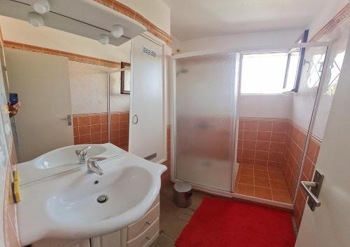 une salle de bain avec un lavabo et une douche dans l'établissement T3, 2ch, classé 3,parking gratuit sur place à 600m de la plage, des commerces ,du port proche st tropez, à Cavalaire-sur-Mer