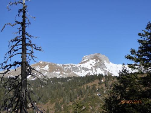 Vue générale sur la montagne ou vue sur la montagne depuis l'appartement