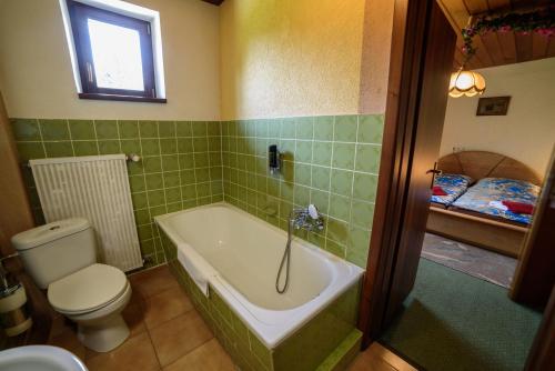 a bathroom with a toilet and a bath tub at Pension Arberwald in Bayerisch Eisenstein