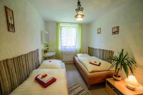 a room with two beds and a sink at Pension Arberwald in Bayerisch Eisenstein