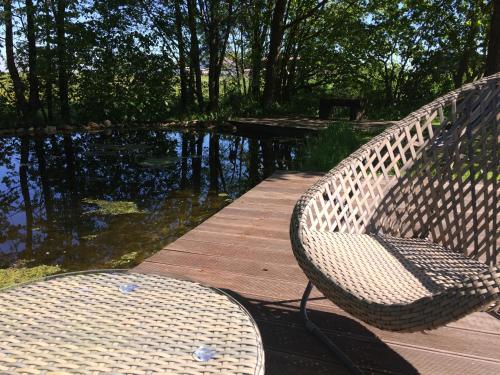 a wicker bench sitting on a boardwalk next to a pond at Room Art Lovers in Marmagen