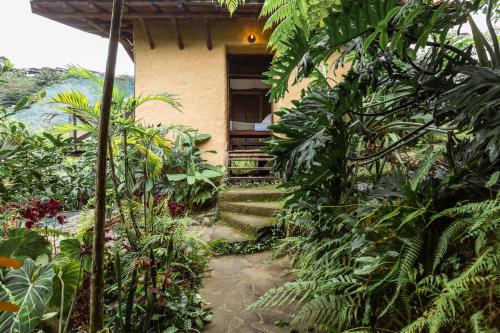 a house in the jungle with stairs leading up to it at Cabañas en la montaña Viga Vieja in San Peregrino