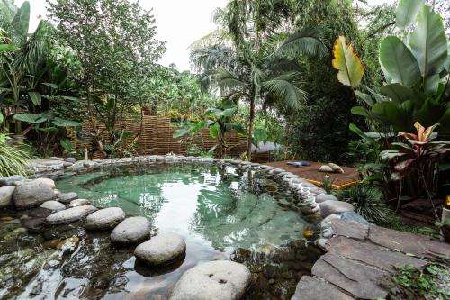 a pool in a garden with a teddy bear in the water at Cabañas en la montaña Viga Vieja in San Peregrino