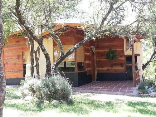 a house with a tree in front of it at Alto de Balcón in Tanti