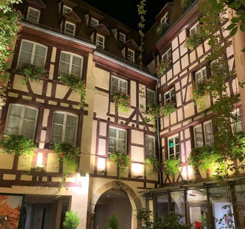 un bâtiment avec des plantes en pot sur son côté dans l'établissement Hotel Beaucour, à Strasbourg