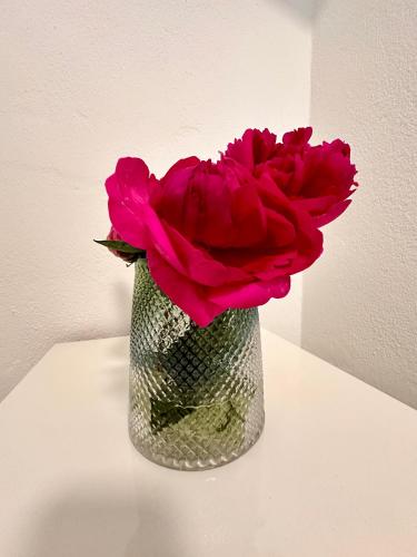 a vase with a red rose sitting on a table at Schöne Ferienwohnung in Schottwien