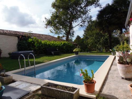 - une piscine dans une cour avec des plantes en pot dans l'établissement La Floiracaise, à Floirac