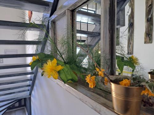 une fenêtre avec des fleurs dans un pot dans l'établissement okeyloft Coyhaique 1, à Coyhaique
