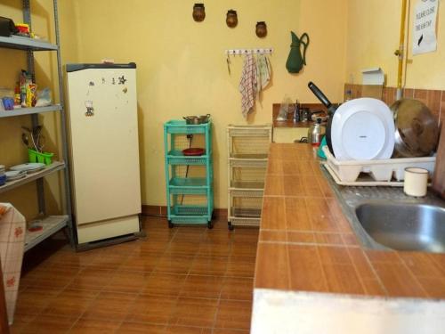 a kitchen with a counter with a sink and a refrigerator at Homestay Jorge, Sucre in Sucre