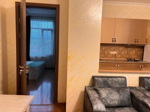 バトゥミにあるApartments NITAのソファとキッチンのあるリビングルーム
