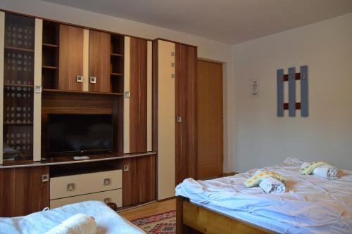 a bedroom with a bed and a tv and cabinets at Pensiunea Maramu in Breb