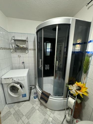 a shower in a bathroom with a washing machine at Apartment Deluxe Holiday in Bihać