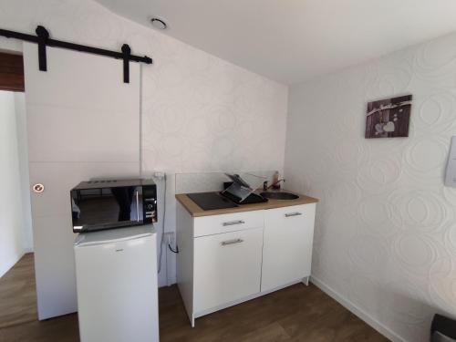 une petite cuisine avec un évier et un micro-ondes dans l'établissement Appartement Theizé - Les meublés des Pierres Dorées, à Theizé
