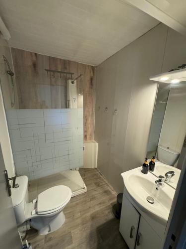 une salle de bain blanche avec des toilettes et un lavabo dans l'établissement Appartement St montan, à Saint-Montan