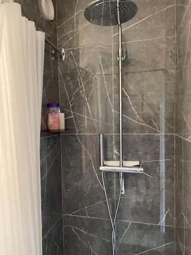 une salle de bain avec une douche avec une porte vitrée dans l'établissement La Frégate -studio lumineux et verdoyant, à Trouville-sur-Mer