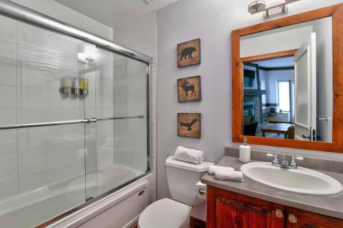 une salle de bain avec une douche, des toilettes et un lavabo dans l'établissement L'Algonquin A, à Mont-Tremblant