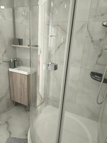 a bathroom with a shower and a sink at Apartman RELAX in Trenčín