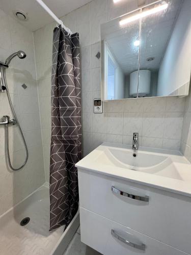 uma casa de banho com um lavatório e um chuveiro com um espelho. em Chez Laurie et Xavier studio 4 em Mignaloux-Beauvoir