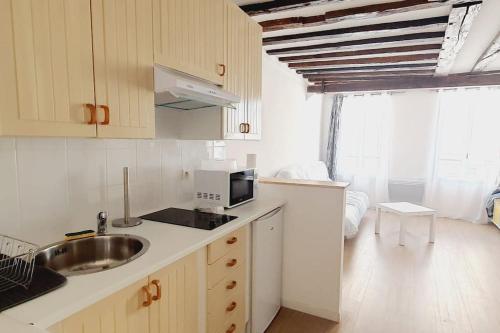 ラ・フェルテ・スー・ジュアールにあるCharmant studio coup de cœur Disneyのシンクと電子レンジ付きのキッチン