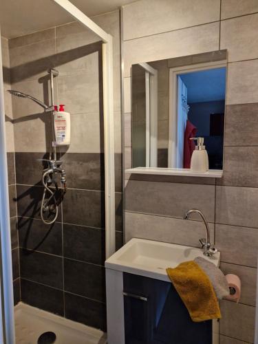 Un baño con lavabo y ducha con espejo. en Joli studio une pièce 15min à pied centre dEpinal 4 personnes grâce au canapé lit, parking privé gratuit et parking extérieur gratuit Machine à laver TV wifi machine à café linge de lit et serviettes fournis, en Chantraine