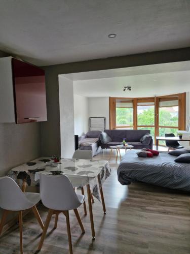 Joli studio une pièce 15min à pied centre dEpinal 4 personnes grâce au canapé lit, parking privé gratuit et parking extérieur gratuit Machine à laver TV wifi machine à café linge de lit et serviettes fournis