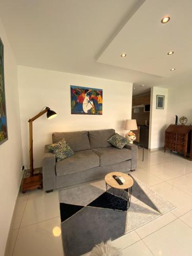 un salon avec un canapé et une table dans l'établissement Studio bord de mer, à Cannes