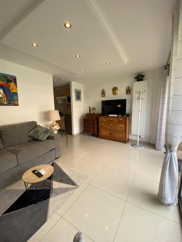 un salon avec un canapé et une télévision dans l'établissement Studio bord de mer, à Cannes