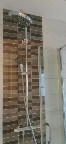 une douche dans une salle de bain avec une porte vitrée dans l'établissement Appartement Séguite 4p, à Arette