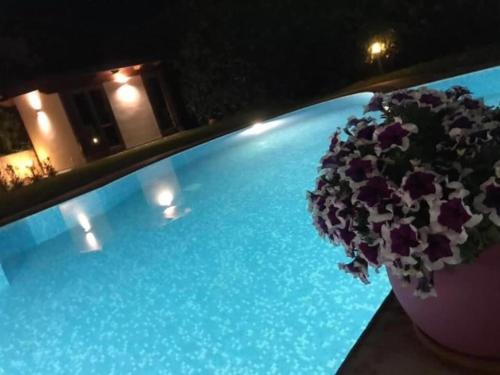 Kolam renang di atau dekat dengan Ara Town House
