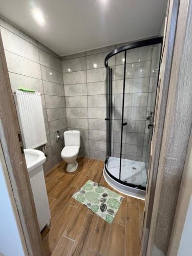 TARNICA في Dwernik: حمام صغير مع دش ومرحاض