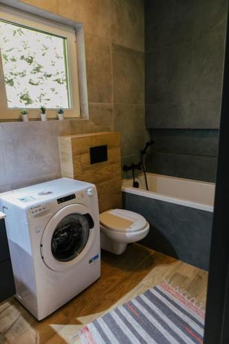 a bathroom with a washing machine and a toilet at Rodzinny Dom na Łonie Natury in Joniec