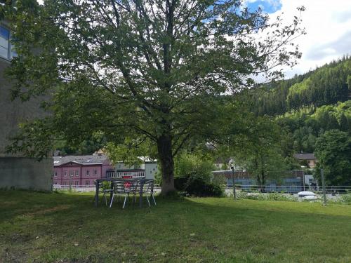 a tree with chairs under a tree in a field at Eisenerzer Apartments - Radmeisterhaus in Eisenerz