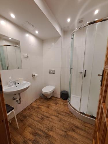 a bathroom with a shower and a toilet and a sink at Przy Szlaku Zakopane centrum pokoje & apartamenty in Zakopane