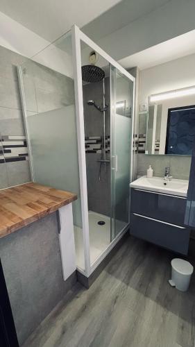 une salle de bain avec douche et lavabo dans l'établissement Studio, vue imprenable Marina, au Grau-du-Roi