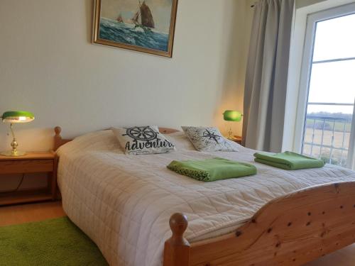 sypialnia z łóżkiem z 2 zielonymi poduszkami w obiekcie Fewo 13 Haus Neustein w mieście Stein