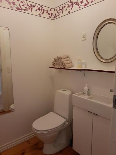 a bathroom with a toilet and a sink and a mirror at Mols Bed & Breakfast in Knebel