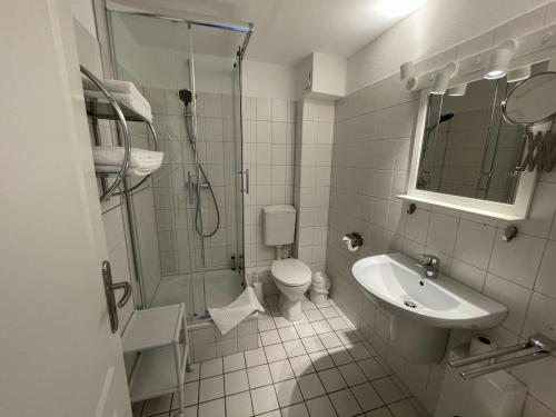a bathroom with a shower toilet and a sink at Wiesenweg W16 in Laboe