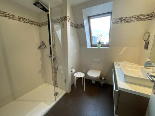a bathroom with a shower and a sink and a toilet at Wiesenweg W17 in Laboe