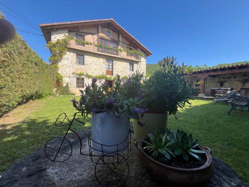 Foto Apaizetxea, caserío en entorno rural entre Bilbao y Vitoria-Gasteiz 1